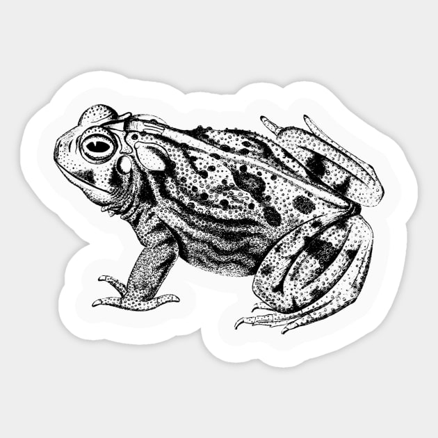 Vintage Toad Sketch Sticker by Vintage Sketches